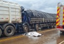 Identificada vítima de acidente entre dois caminhões na BR 163 em Idamar