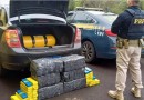 PRF apreende 150kg de maconha na BR-282