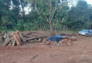 Homem é encontrado morto em propriedade na Linha Maria Preta