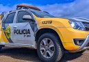 Motorista embriagado é detido após atropelar cavalo, no bairro Água Branca