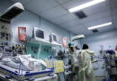 Casos de dengue e doenças respiratórias elevam ocupação de leitos de UTI para 91% em SC