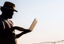 Epagri lança plataforma para informações de safras e preços