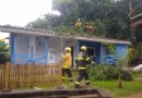 Mãe e filha se abrigam em um roupeiro e casa é atingida por árvore em Chapecó