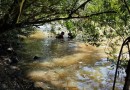 Menino de 10 anos morre afogado em rio