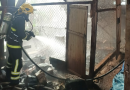 Incêndio atinge galpão agrícola e mata 35 galinhas