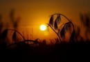 Nota Meteorológica: Previsão para janeiro aponta sol e calor no Oeste de SC