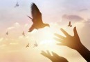 Construindo a liberdade