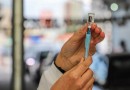 Vacina contra dengue estará disponível no SUS em até um ano e meio