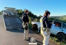Motorista embriagado é flagrado dormindo à beira da BR-282