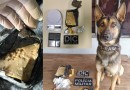Autor de roubo a residência é preso com drogas no Paraná