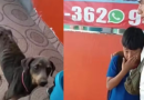 Menino leva cadelinha faminta à escola e mobiliza rede de solidariedade