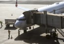 Comissão do governo vai definir regras para transporte aéreo de pets