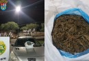 Três pessoas foram presas com cerca de 2 kg de maconha do tipo murruma