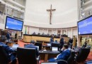 Alesc aprova projeto que garante acompanhante a crianças em atendimentos médicos