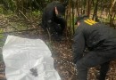 Polícia Civil localiza segunda ossada humana enterrada, em investigação coordenada pela 19ª SDP