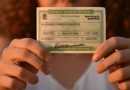 Prazo para regularizar o título eleitoral está no final; confira