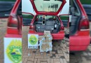 BPFRON apreende veículo carregado de mercadorias