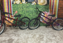 Escola Luiz Savoldi recebe doações para aquisição de bicicletas