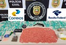 Grande operação apreende R$ 300 mil em drogas na Capital