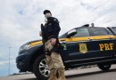 Fim de feriado de Finados é marcado por trânsito intenso em rodovias de SC