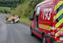 Bombeiros atendem capotamento de automóvel