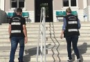 Procon orienta planos de saúde sobre assistência gratuita a recém-nascidos