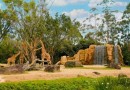Beto Carrero World anuncia o encerramento do zoo após 32 anos