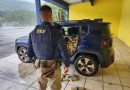 PRF realiza apreensão mais de 700 kg de maconha e recupera carro roubado em SC