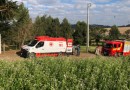 Homem é atingido na cabeça durante trabalho com corte de árvores no interior