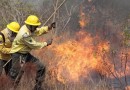 Bombeiros controlam incêndio de grandes proporções
