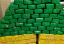 Meia tonelada de maconha é apreendida em Garuva
