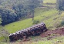 Caminhão carregado de suínos sai da pista e tomba em ribanceira em Concórdia