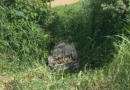 Criminosos ‘fazem a limpa’ em arsenal de armas e capotam carro em fuga em SC