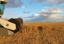 Produção de grãos do Brasil deve atingir recorde de 360,1 milhões de toneladas na safra 2025/26