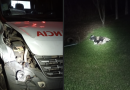 Ambulância colide contra bovino na SC-159 durante neblina