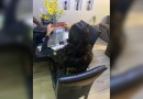 Polícia Federal deflagra operação para combater desvio de verbas da saúde em Santa Catarina
