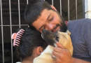 Cão desaparecido há 4 meses é reencontrado por tutores durante mutirão em SC