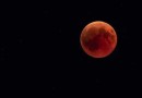 Lua de sangue e eclipse lunar: veja como acompanhar os fenômenos desta terça