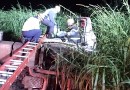 Homem fica ferido após acidente com carreta na BR-282 em Iraceminha