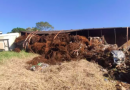 Motorista se envolve em acidente na SC-161 e caminhão do Paraguai tomba na rodovia em Romelândia
