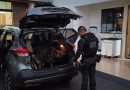 PCPR e MPPR deflagram operação contra organização criminosa ligada ao tráfico de drogas em diversos estados do Brasil