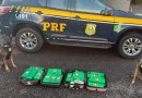 Foragido da Justiça é capturado em ônibus intermunicipal com mais de 27kg de drogas