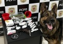 Homem é preso por tráfico de drogas e posse irregular de arma arma de fogo