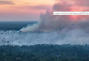 Quando a Amazônia entra em colapso? Novo estudo prevê um prazo
