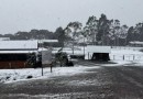 Chuva congelada, geada ou neve? Saiba como diferenciar os fenômenos