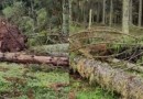 Fenômeno que arrancou árvores no Meio-Oeste de SC é classificado como microexplosão
