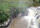 Bombeiros levam 3 horas para salvar cão que caiu em cachoeira