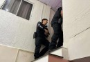 PCPR lidera operação nacional de combate ao abuso infantil