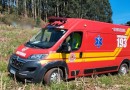 Homem morre após ser atingido por eucalipto em Santa Catarina