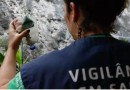 Brasil bate recorde de mortes por dengue em 2023, diz Senan Online